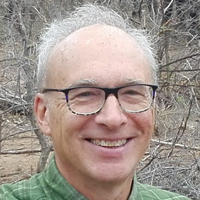 Edoardo Costantini
